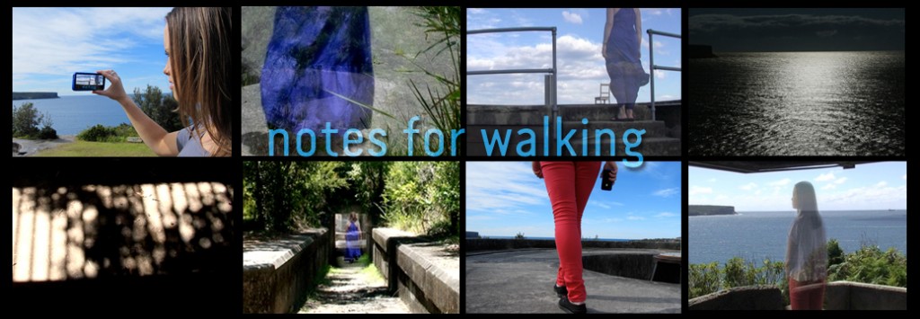 Notes for Walking, Megan Heyward, 2013.